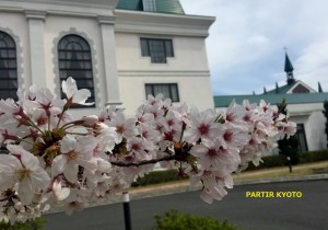 パルティール京都内　桜
